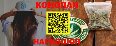 прущие грибы Балашиха