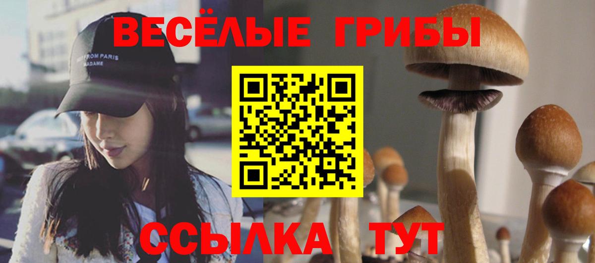 Псилоцибиновые грибы прущие грибы  Вход с VPN  Донецк 